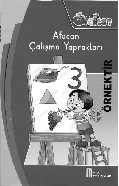 AFACAN ÇALIŞMA YAPRAKLARI Fenomen Fotokopi - YKS - KPSS - ALES