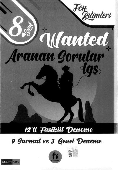 WANTED ARANAN SORULAR LGS 12'Lİ FASİKÜL DENEME Fenomen Fotokopi - YKS - KPSS - ALES