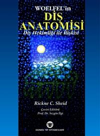 Diş Anatomisi Diş Hekimliği ile İlişkisi, Woelfel, Rickne Sheid, Sezgin İlgi Fenomen Fotokopi - YKS - KPSS - ALES