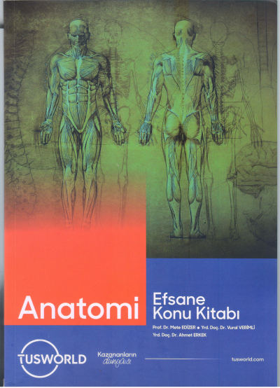 Anatomi Efsane Konu Kitabı Tusworld Fenomen Fotokopi - YKS - KPSS - ALES