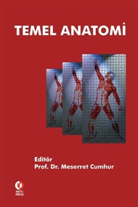 Temel Anatomi ODTÜ Yayıncılık Akademi Fenomen Fotokopi - YKS - KPSS - ALES