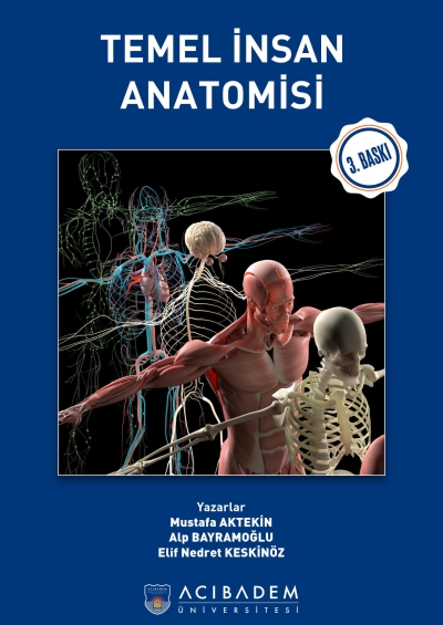Temel İnsan Anatomisi Acıbadem Üniversitesi Fenomen Fotokopi - YKS - KPSS - ALES