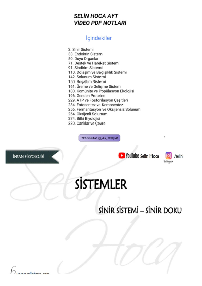 SELİN HOCA AYT Fenomen Fotokopi - YKS - KPSS - ALES