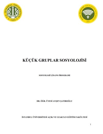 Küçük Gruplar Sosyolojisi Fenomen Fotokopi - YKS - KPSS - ALES